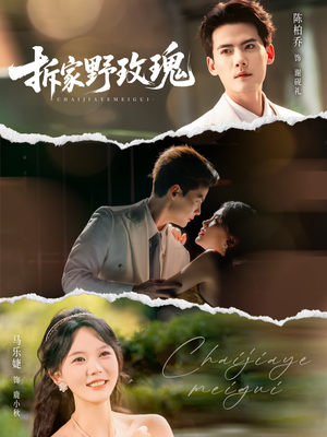 拆家野玫瑰（80集）短剧完整版全集放送