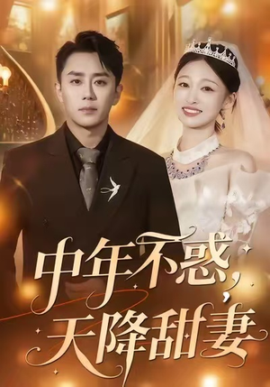 中年不惑，天降甜妻（60集）短剧终篇全集限免看