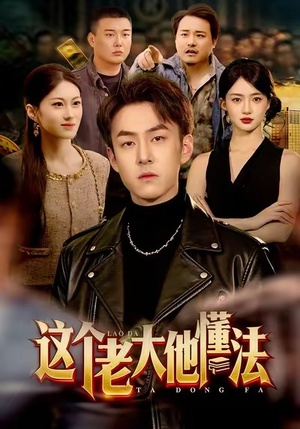 这个老大他懂法（100集）短剧经典全集任你选