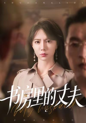 书房里的丈夫（100集）短剧全集解锁零收费