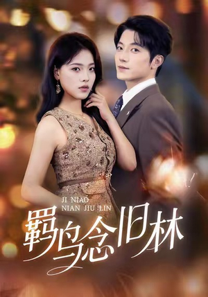 羁鸟念旧林（60集）短剧终篇全集限免看