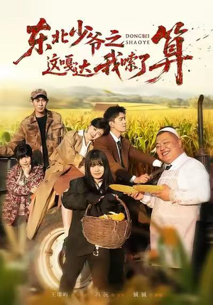 东北少爷之这嘎达我嗦了算（46集）短剧合集导演剪辑版