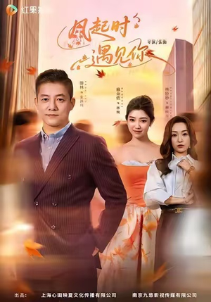 风起时遇见你（59集）短剧全集投屏大屏看