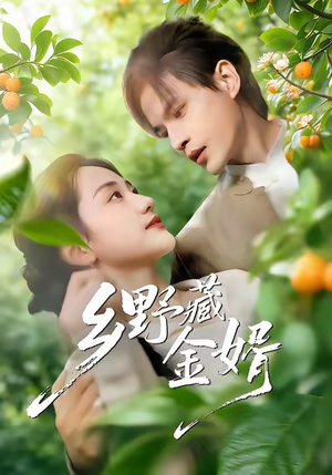 乡野藏金婿（50集）短剧全季限免大放送