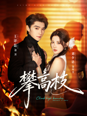 攀高枝（70集）短剧收官全集限免看