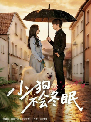 小狗不会冬眠（70集）短剧全集高清无码版