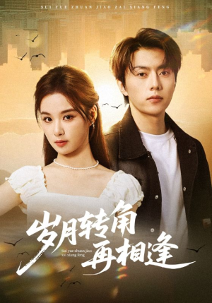 岁月转角再相逢（80集）短剧结局篇全集直通