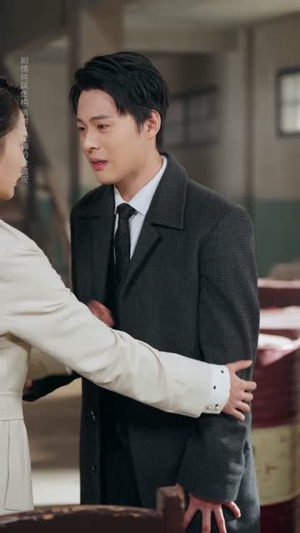 一纸休夫，半壁山河（62集）短剧全剧终限免合集