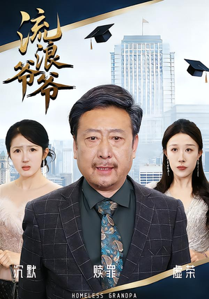 流浪爷爷（40集）短剧结局合集限免刷