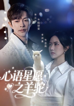 心语星愿之羊驼（60集）短剧结局篇全集直通