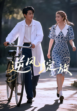 逆风绽放（55集）短剧全剧终在线连看