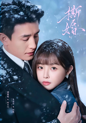 撕婚（23集）短剧最终回限免畅看