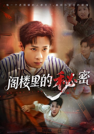 阁楼里的秘密（76集）短剧经典全集任你选