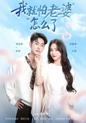 我就怕老婆怎么了（88集）短剧超清全集在线看