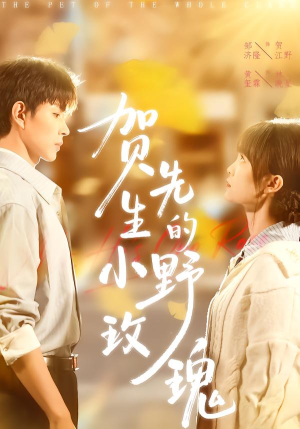 贺先生的小野玫瑰（99集）短剧合集杜比音效版