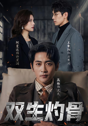 双生灼骨（60集）短剧大结局超前点映