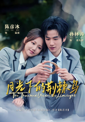 月光下的荆棘鸟（80集）短剧全剧终限免合集