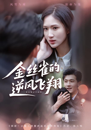 金丝雀的逆风飞翔（80集） 短剧全剧终在线连看