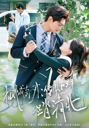 枫城奇才：传承加身踏清北（80集） 短剧合集通宵追更版