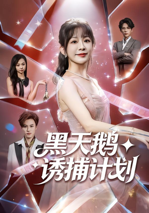 黑天鹅诱捕计划（81集）短剧全剧终在线连看