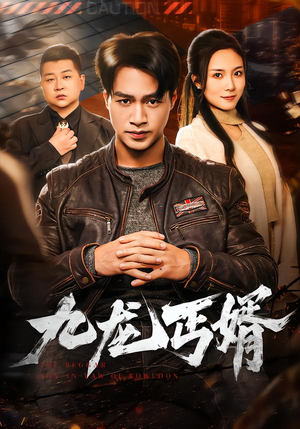 九龙丐婿（81集）短剧全集VR沉浸版