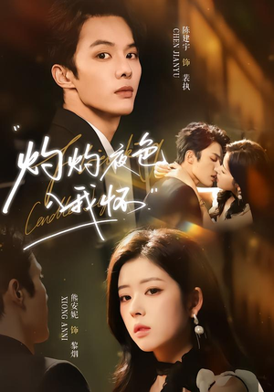 灼灼夜色入我怀（60集）短剧全集高清无码版