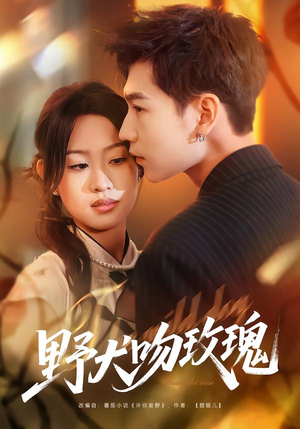 野犬吻玫瑰（70集）短剧高分全集在线刷