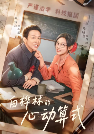 白桦林的心动算式（66集）短剧超清全集在线看