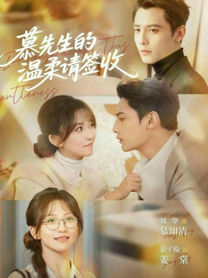 慕先生的温柔请签收（90集）短剧全集秒播无卡顿