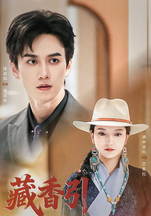 藏香引（63集）短剧完结篇全集连播