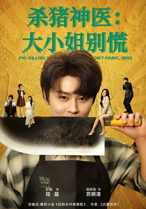 杀猪神医，大小姐别慌（80集）短剧全集VR沉浸版