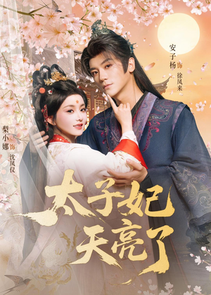 太子妃天亮了（80集）短剧热播全集免费追