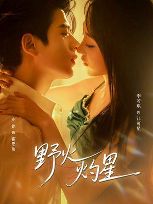 野火灼星（56集）短剧大结局全集特惠