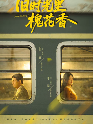 旧时光里槐花香（70集）短剧全集VR沉浸版