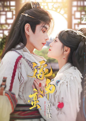 嫁南蛮，立千秋（79集）短剧全剧终高清放送