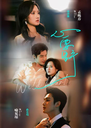 心要野（62集）短剧全剧终限免畅刷