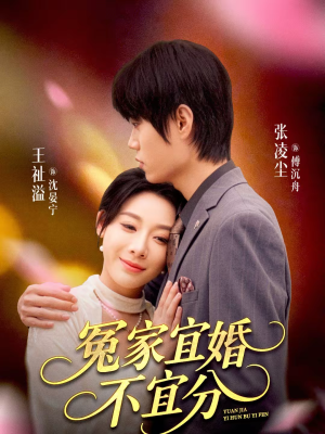 冤家宜婚不宜分（80集）短剧热播全集免费追