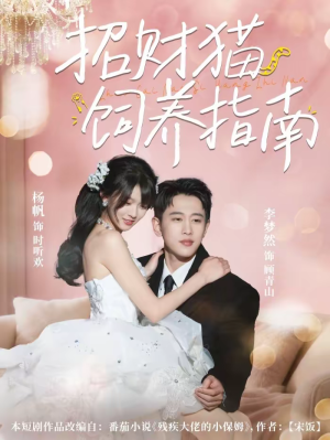 招财猫饲养指南（92集）短剧结局合集限免刷