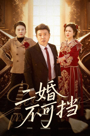 二婚不可挡（36集）短剧超清全集在线看