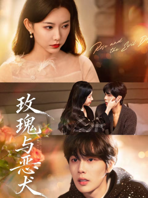 玫瑰与恶犬（80集）短剧全剧终在线连看