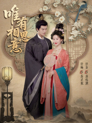 唯有相思意（100集）短剧全剧免费合集