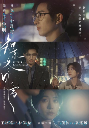 知京冬风雪（68集）短剧大结局超前点映