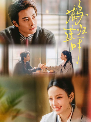 鹤归瑾时（81集）短剧超清全集在线看