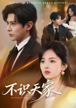 不识天家（69集）短剧合集杜比音效版