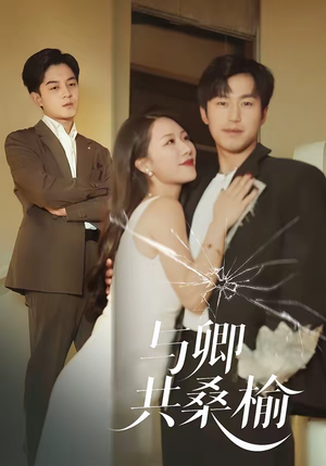 与卿共桑榆（63集）短剧全集热力排行榜之一