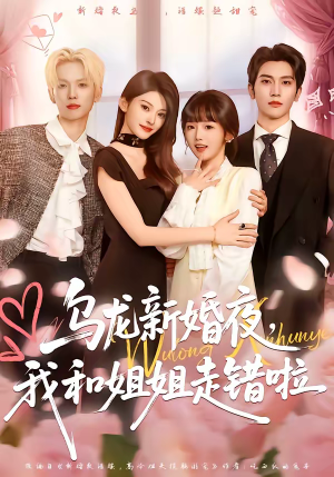 乌龙新婚夜，我和姐姐走错啦（59集）短剧结局合集限免刷