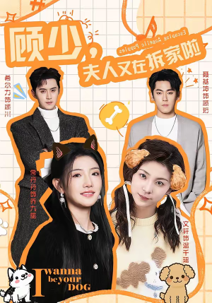 顾少，夫人又在拆家啦（78集）短剧大结局全集特惠