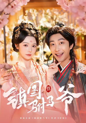 镇国驸马爷（92集）短剧全系列免费畅享