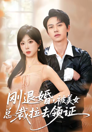 刚退婚，被美女总裁拉去领证（81集）短剧高分全集在线刷