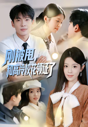 刚被甩，和高冷校花领证了（67集）短剧大结局超前点映